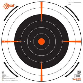 Allen Ez Aim Bullseye Target