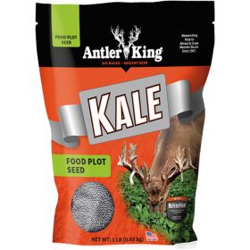 Antler King Kale Seed